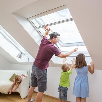 Neher Dachfenster Rollo Insektenschutz - Schlatter Merdingen - 1